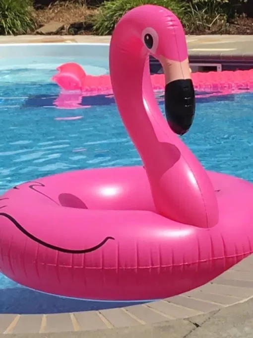 Inflable - Flamenco