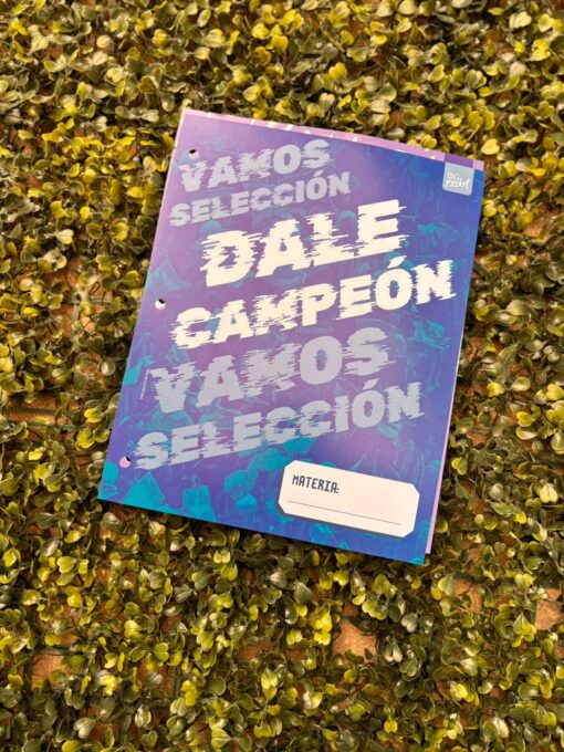 Separadores Escolares Nro 3 - Campeones - Imagen 5