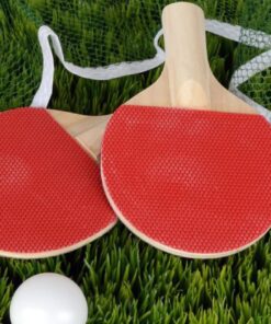 Paleta Ping Pong