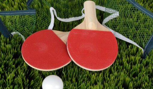 Paleta Ping Pong