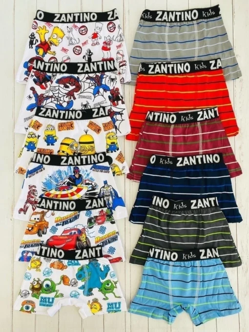 Boxer zantino