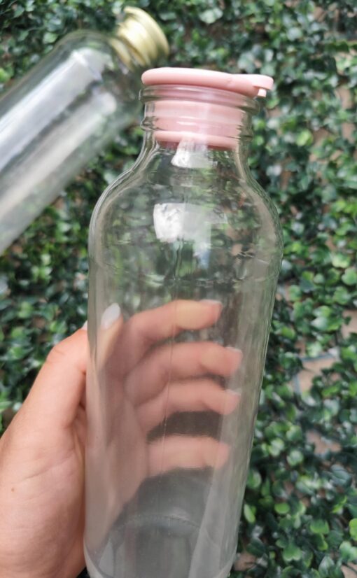 Botella Jugo 500 cc