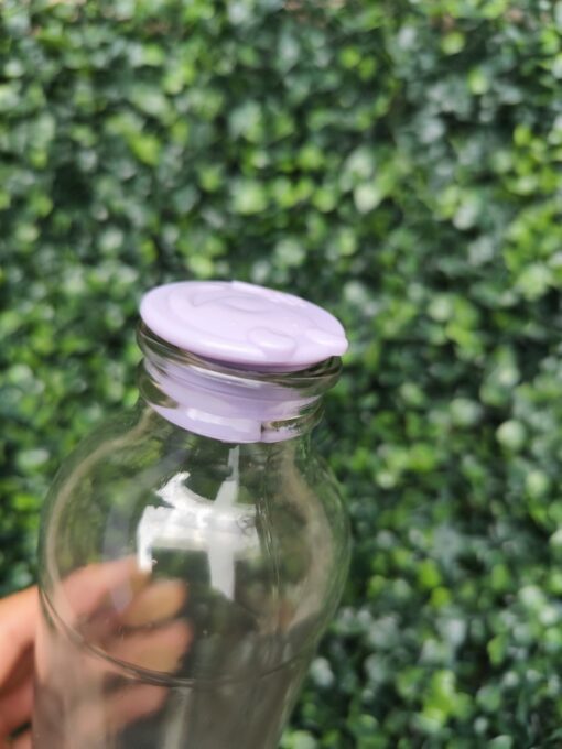 Botella Jugo 500 cc - Imagen 2