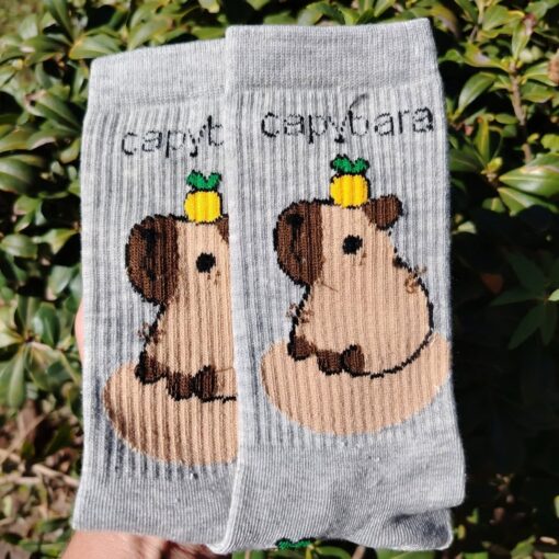Medias Capybara Colores - Imagen 2