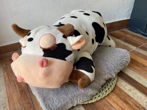Peluche con manta Surtido. - Imagen 20
