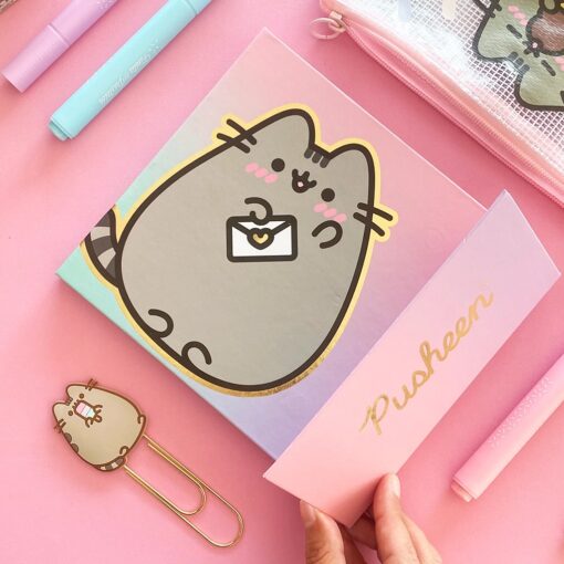 Organizador Pusheen