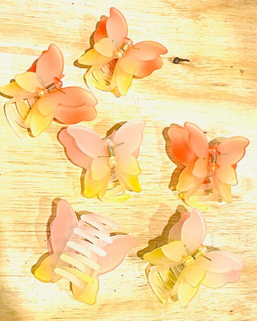 Broche Mariposa - Bicolor