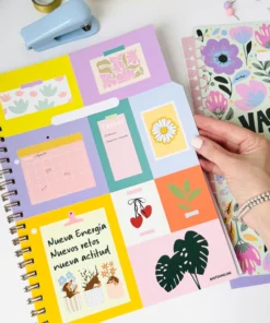 Alternative view of Separadores A4 - Watermelon