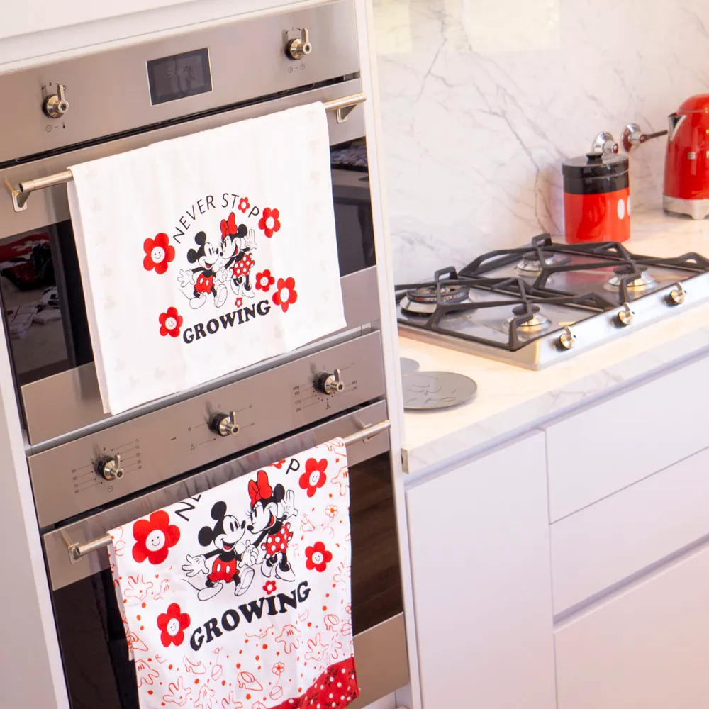 Set de Repasadores Mickey & Minnie - Piñata