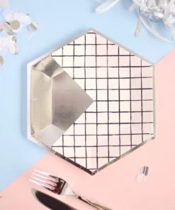 Alternative view of Platos Paris