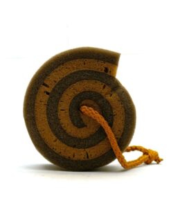 Alternative view of Esponja Caracol - Krramel