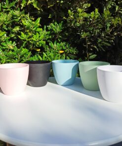 Pack x 2 Macetas Premium