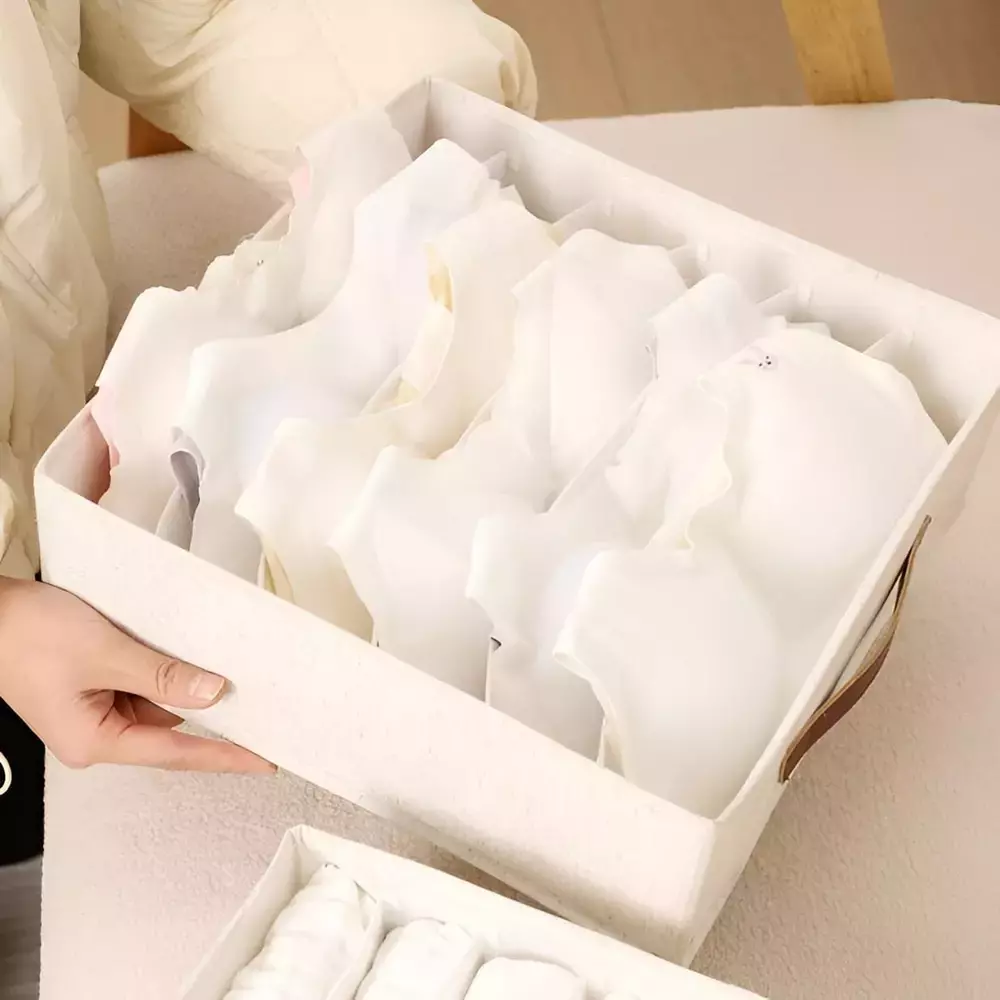 Caja Organizadora 6 Divisiones - Imagen 3