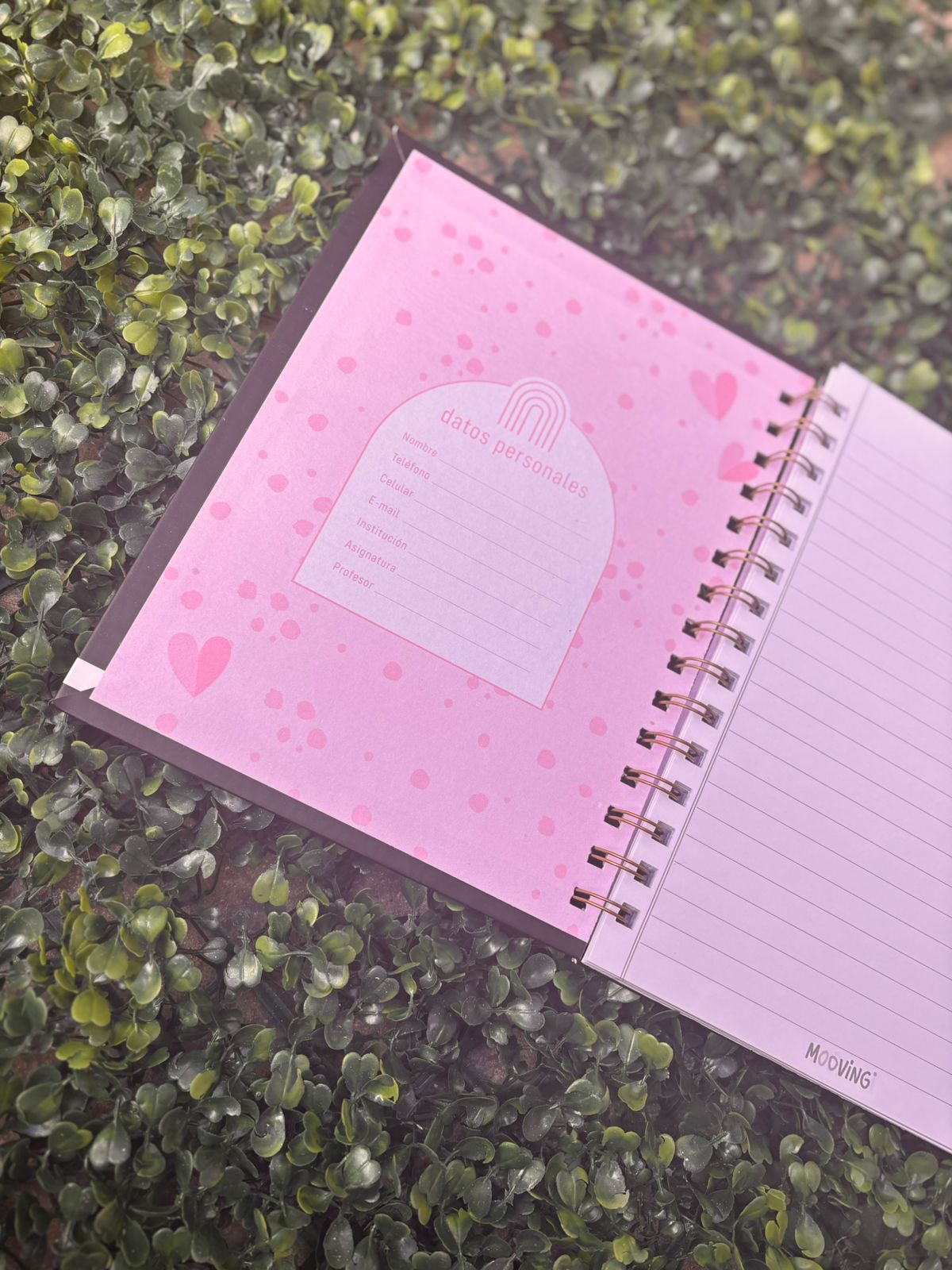 Cuaderno Espiral 16 x 21 - CHIC - Imagen 3