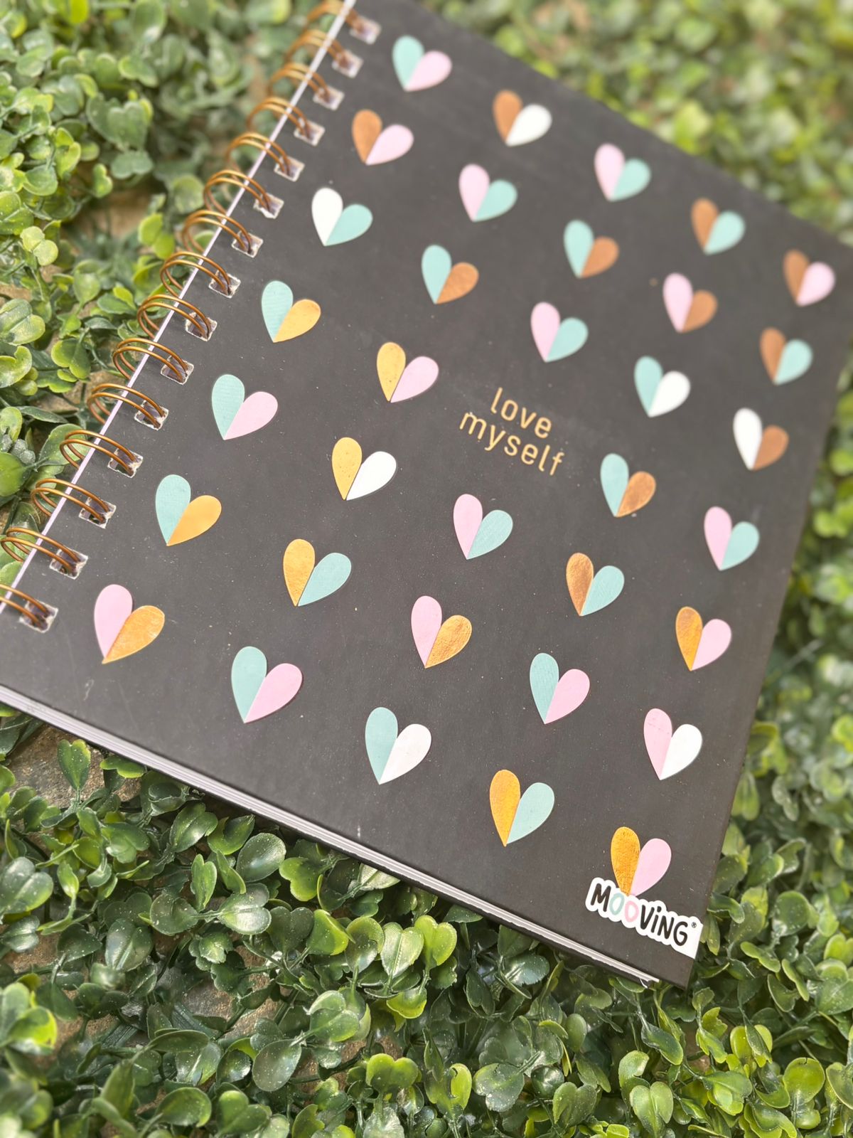 Cuaderno Espiral 16 x 21 - CHIC - Imagen 2