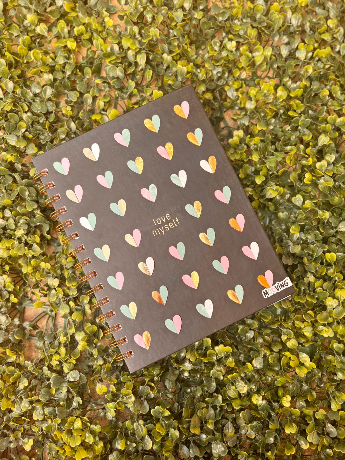 Cuaderno Espiral 16 x 21 - CHIC