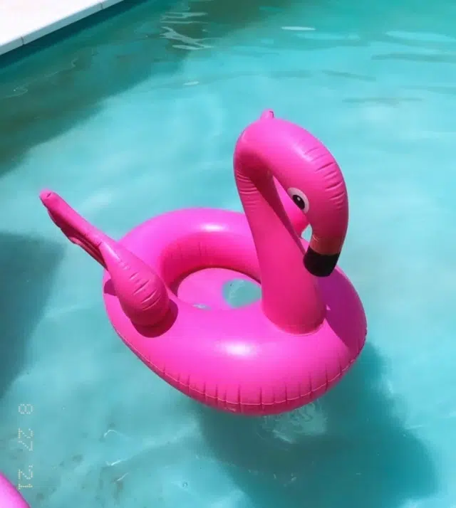 Inflable - Flamenco - Imagen 3