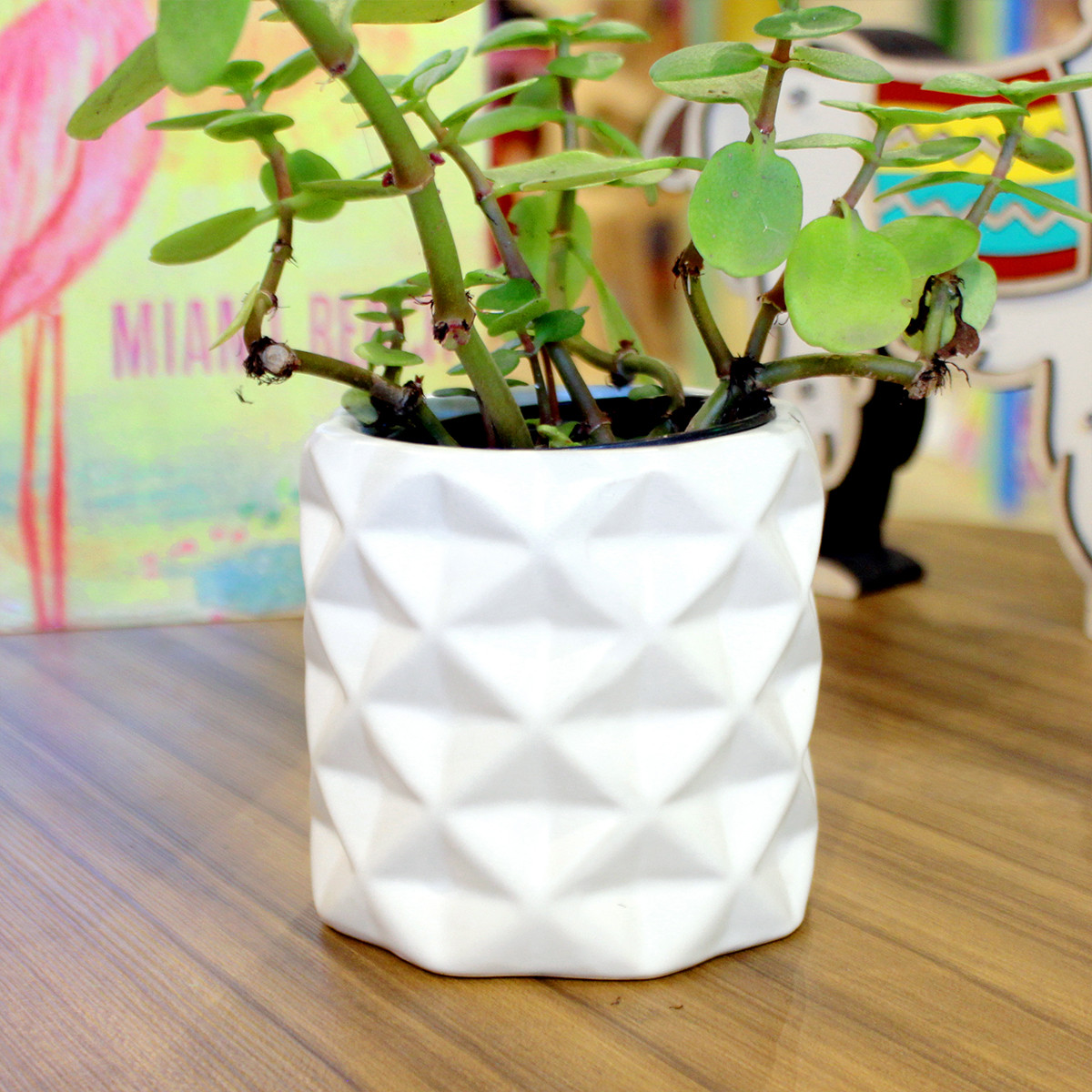 Maceta Cilindro Blanca