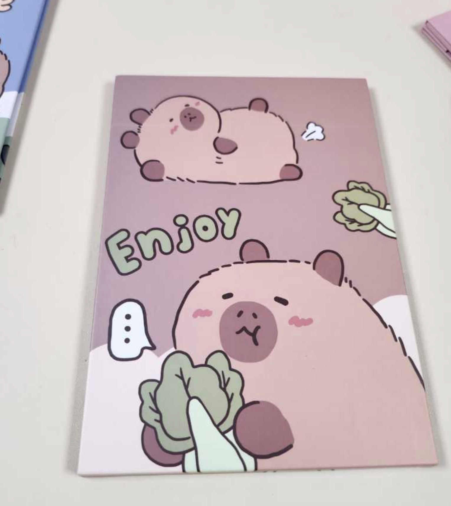 Espejo Capybara - Imagen 2