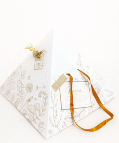 Piramide Linea Origen