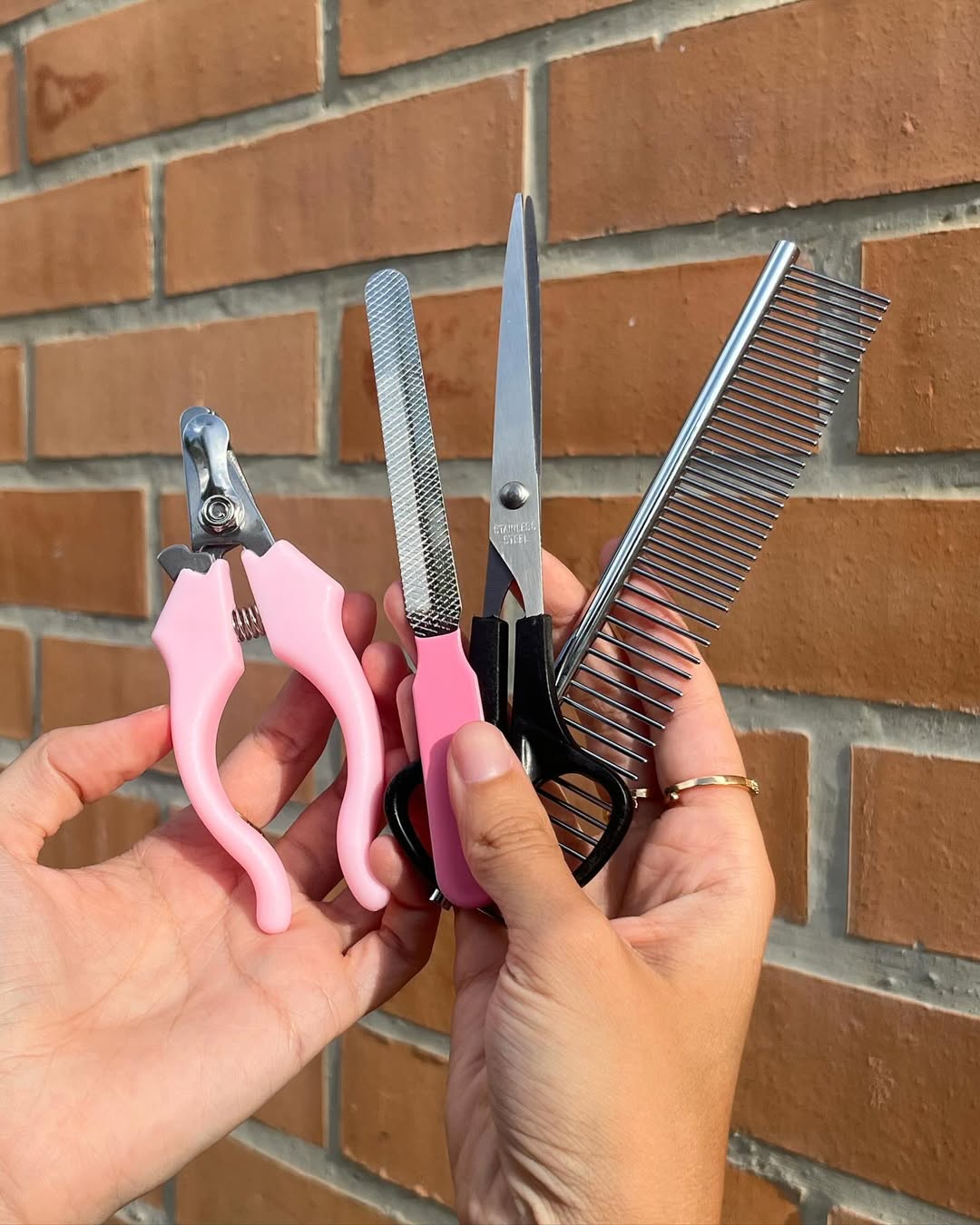 Corta Pelo de Mascotas Inalambrico - Imagen 3