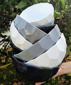 Bowl Grande con Tapa clasico