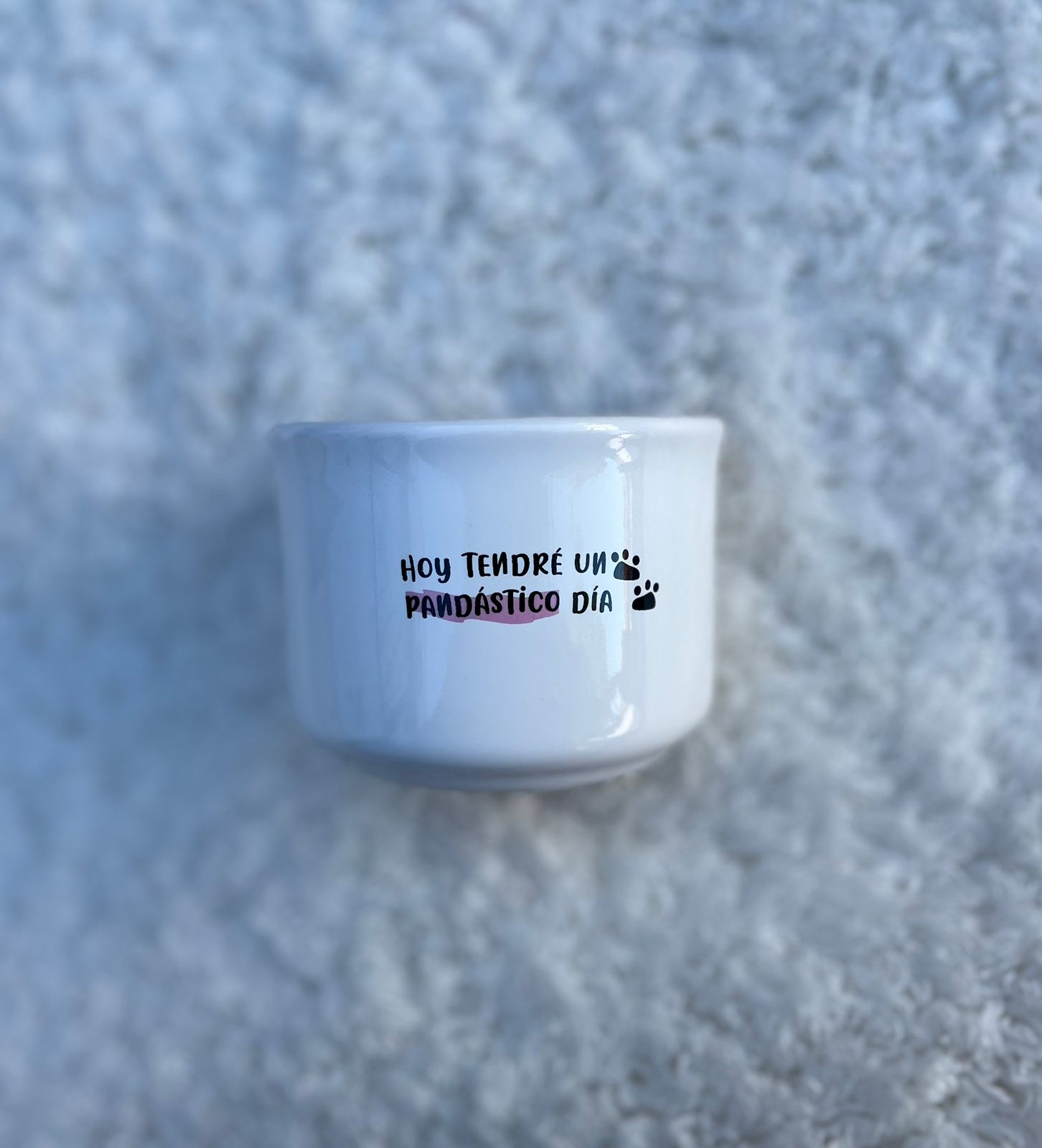 Azucarera Pandastica - Imagen 2