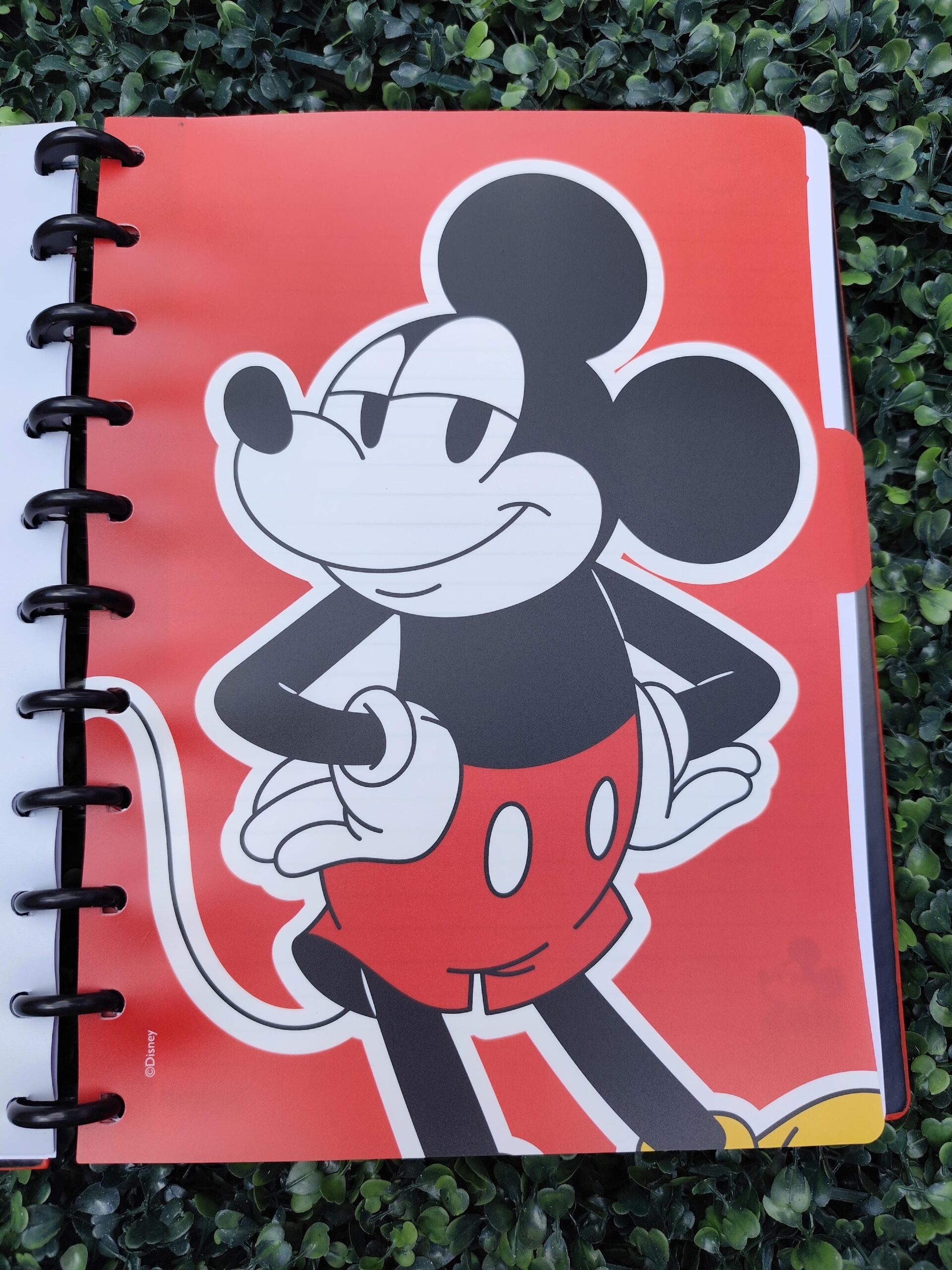Cuaderno de Discos Mooving Mickey Carta - Imagen 7