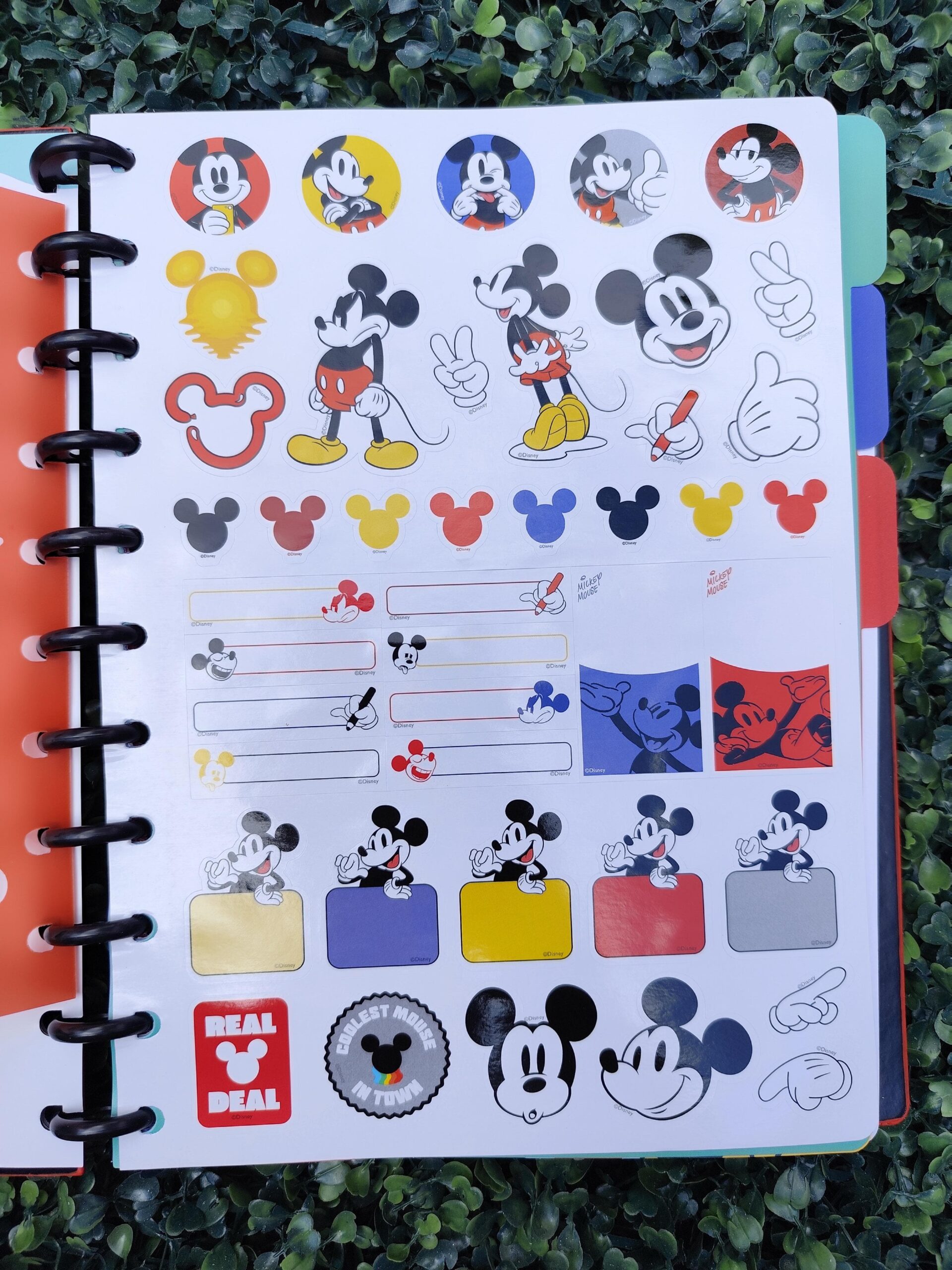 Cuaderno de Discos Mooving Mickey Carta - Imagen 3