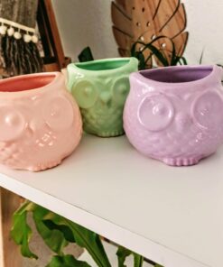 Buho ceramica Punita