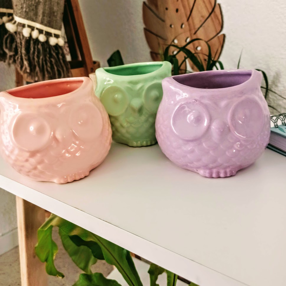 Buho ceramica Punita