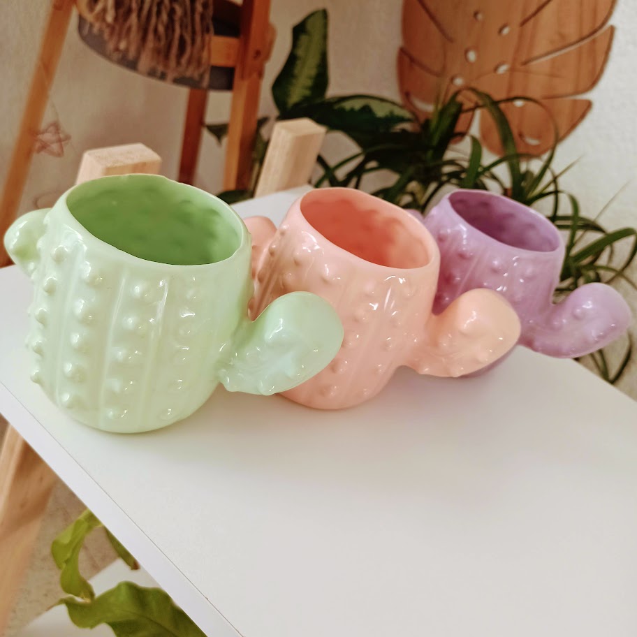 Cactus ceramica Punita