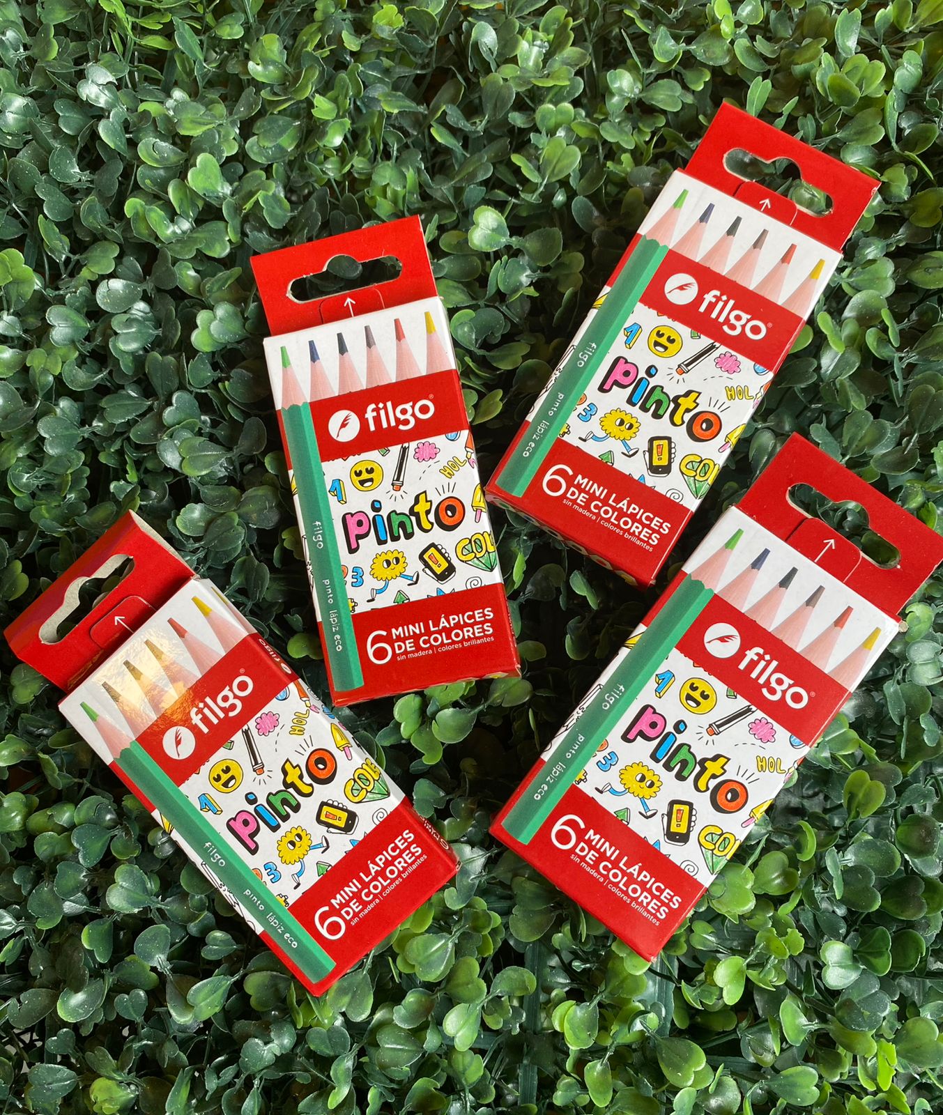 Lapices Colores Cortos x 6 - FILGO