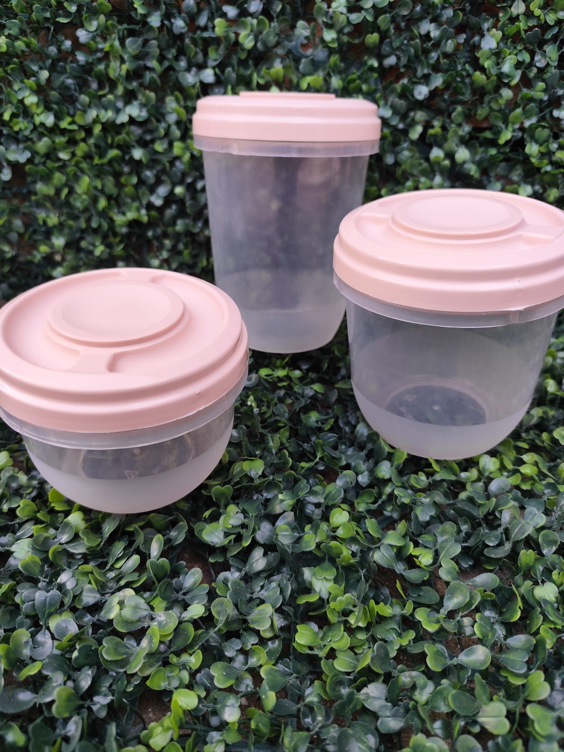 Set x3 de Mini contenedores