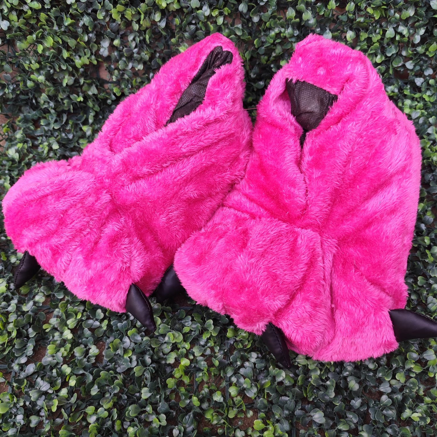 Pantuflas de Garra Adulto - Imagen 6
