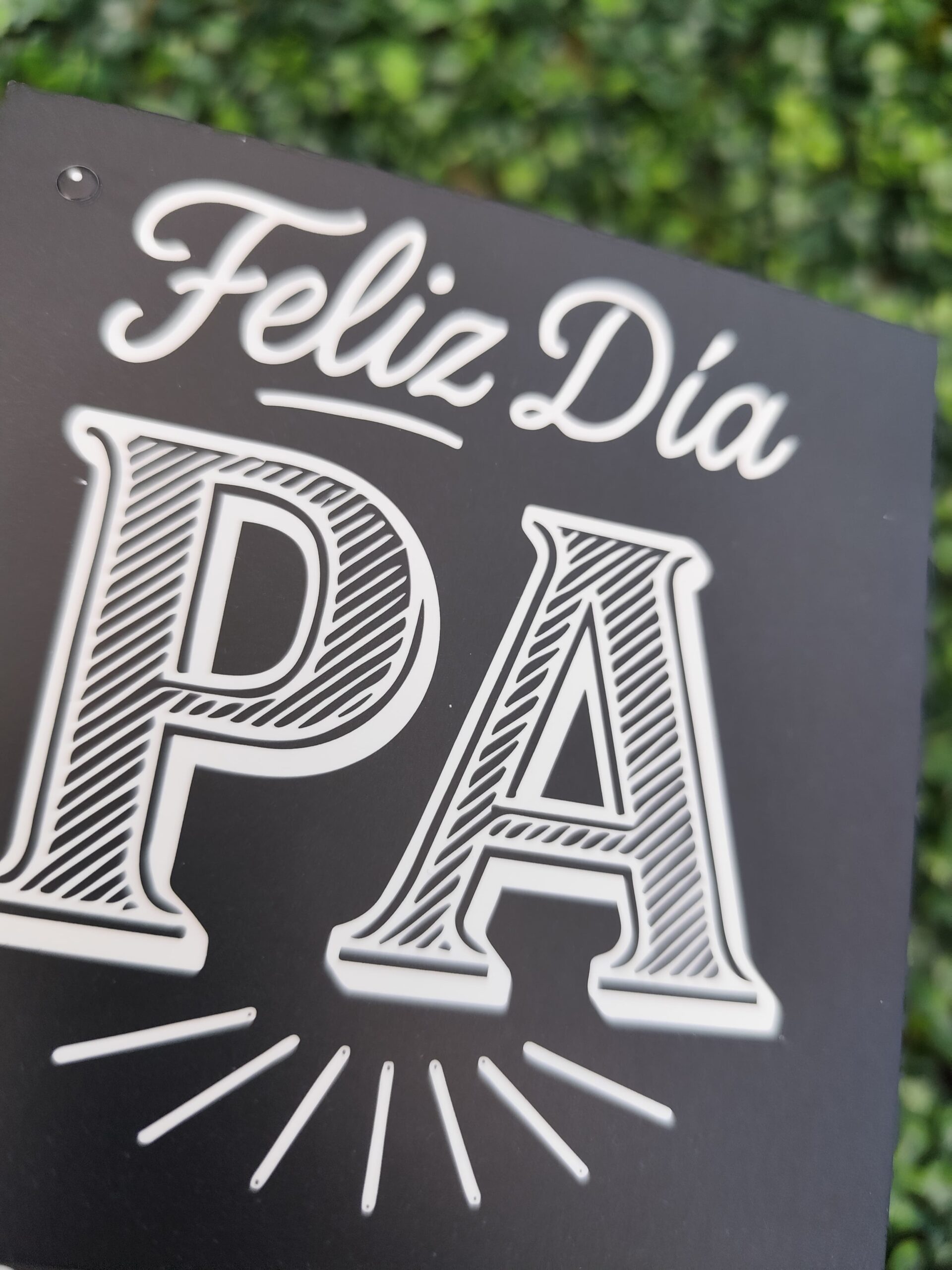 Mega Tag "Feliz dia PA"