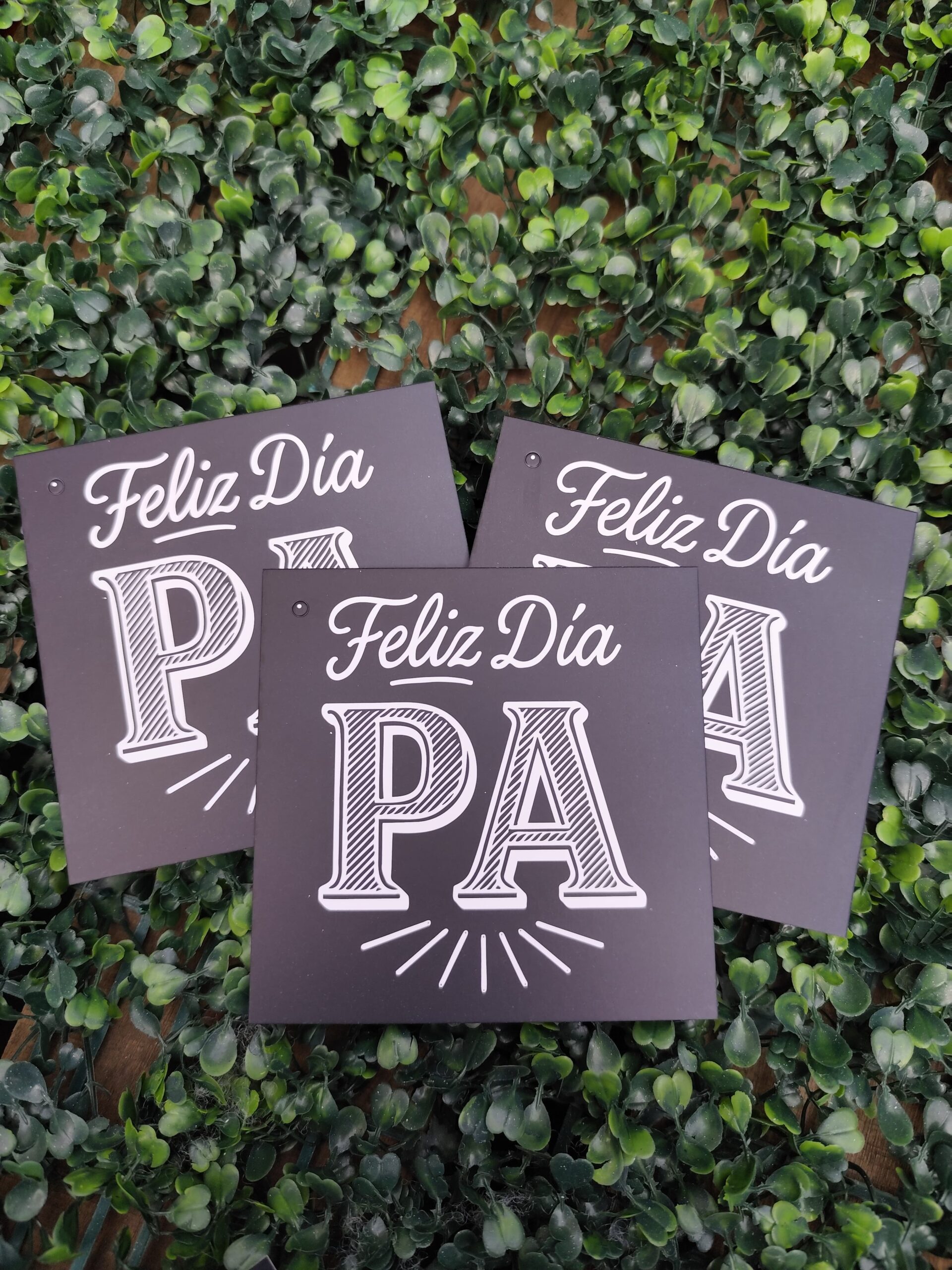 Mega Tag "Feliz dia PA" - Imagen 2