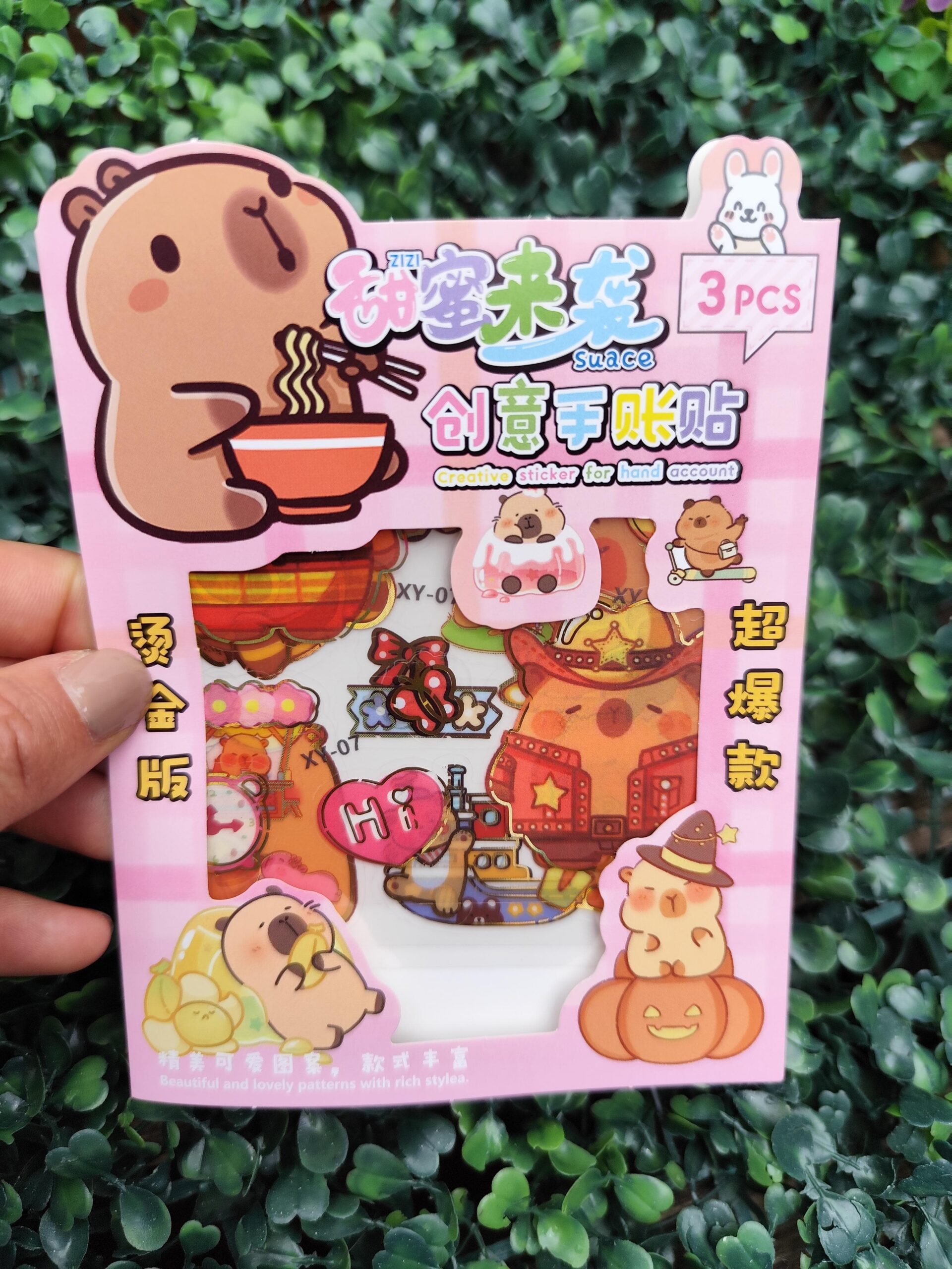Sticker x3 PCS - Capybara