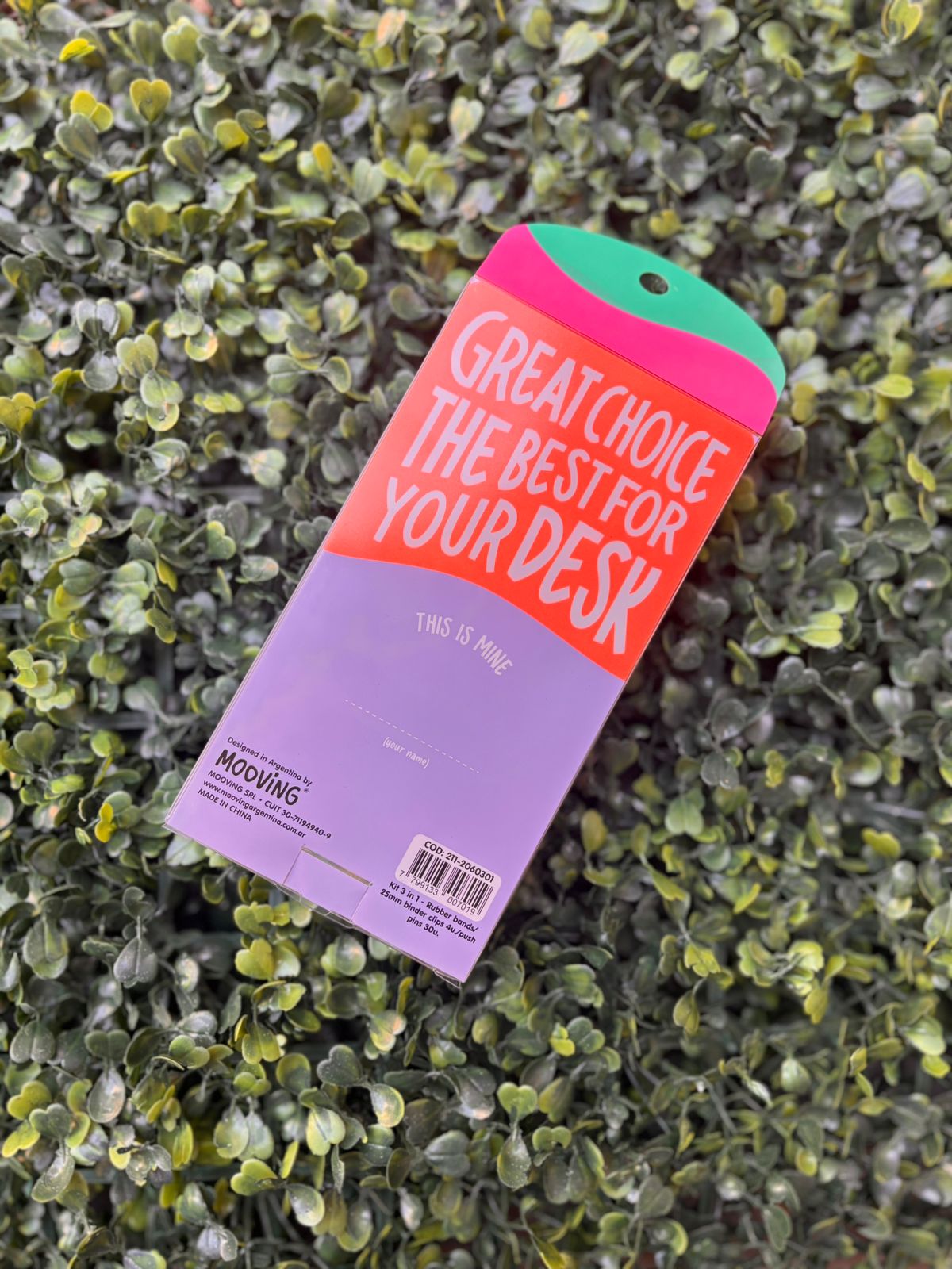 Kit 3 en 1 Binder + Bandas + GALERA - Mooving - Imagen 2