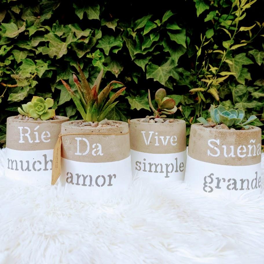 Macetitas Nordicas - redondas