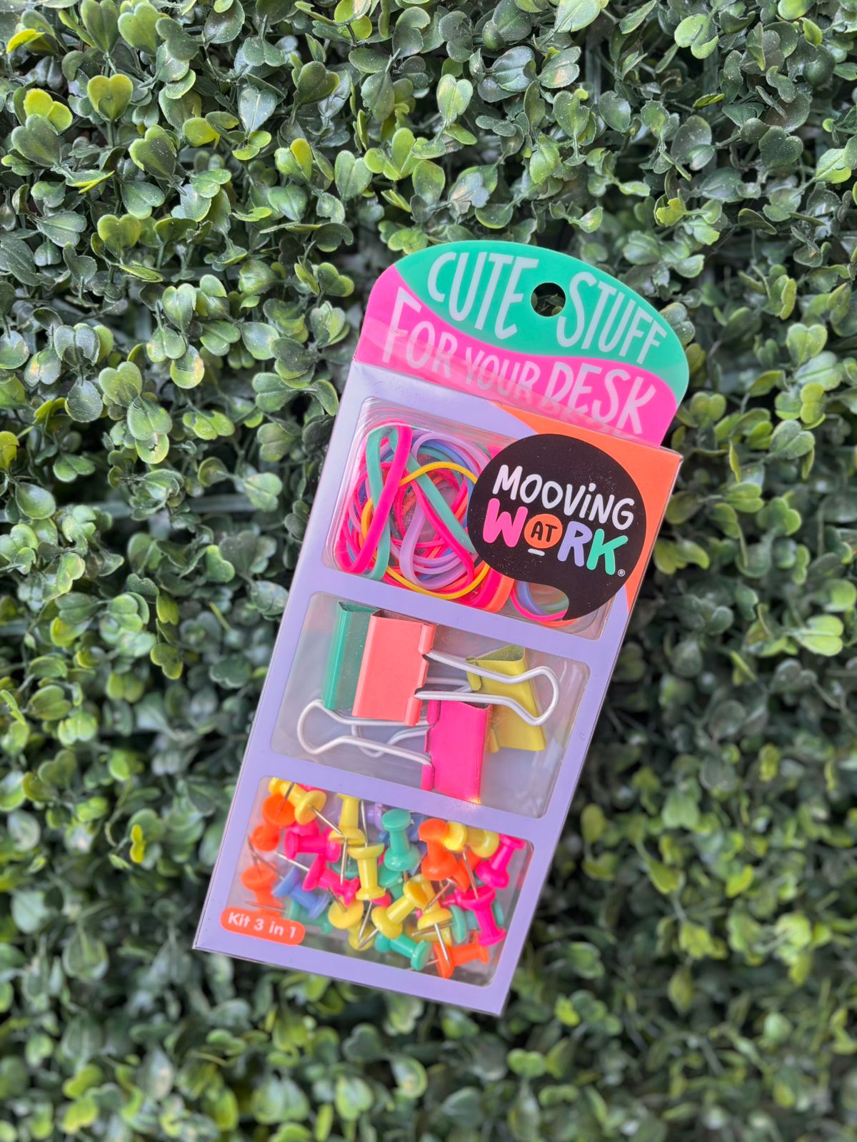 Kit 3 en 1 Binder + Bandas + GALERA - Mooving