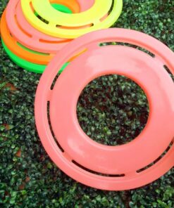 Frisbee Colores