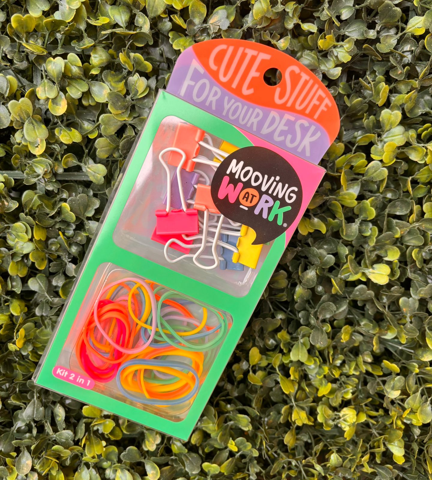 Kit 2 en 1 Binder + Bandas - Mooving