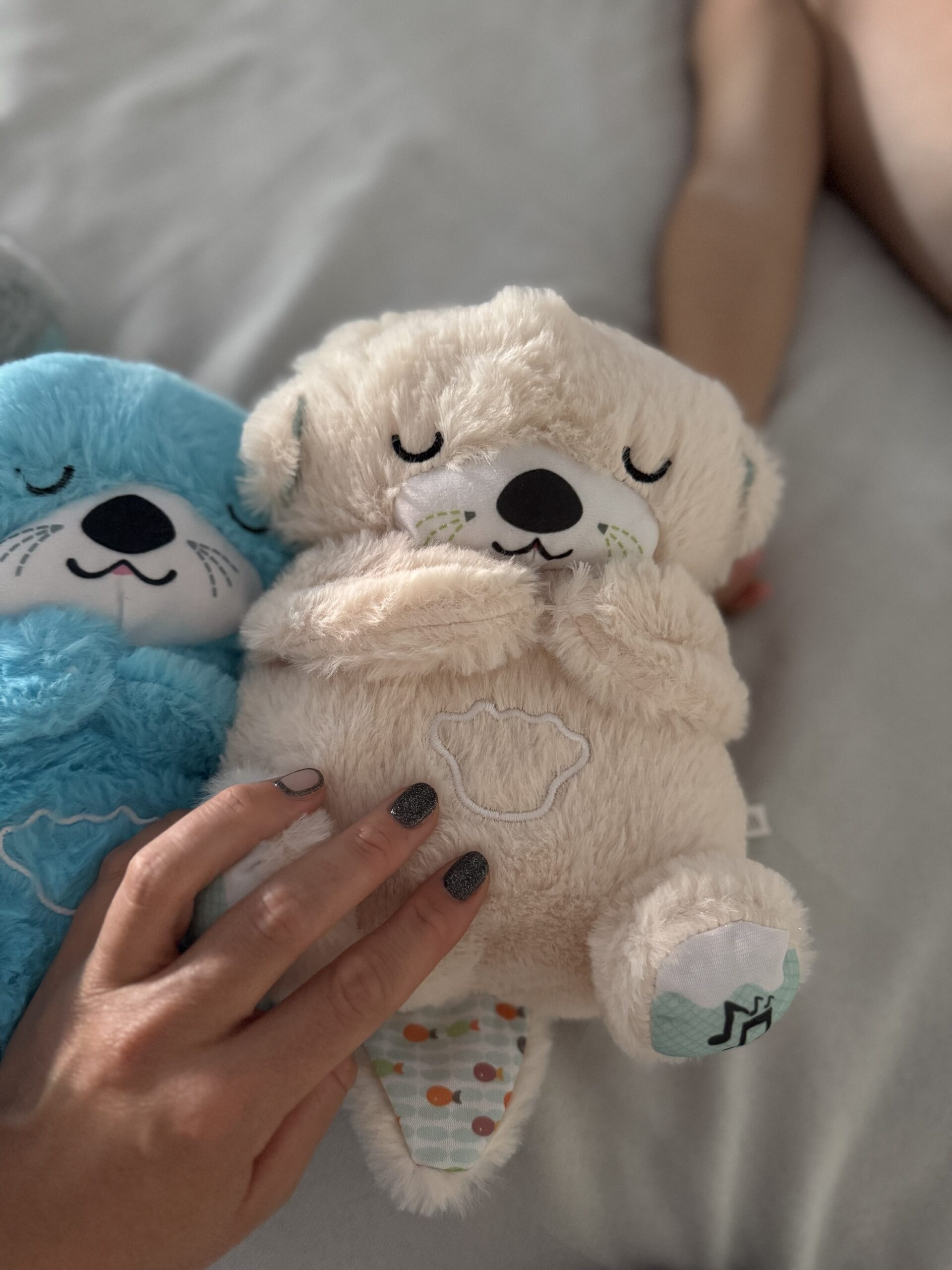 Oso de Apego - Imagen 2