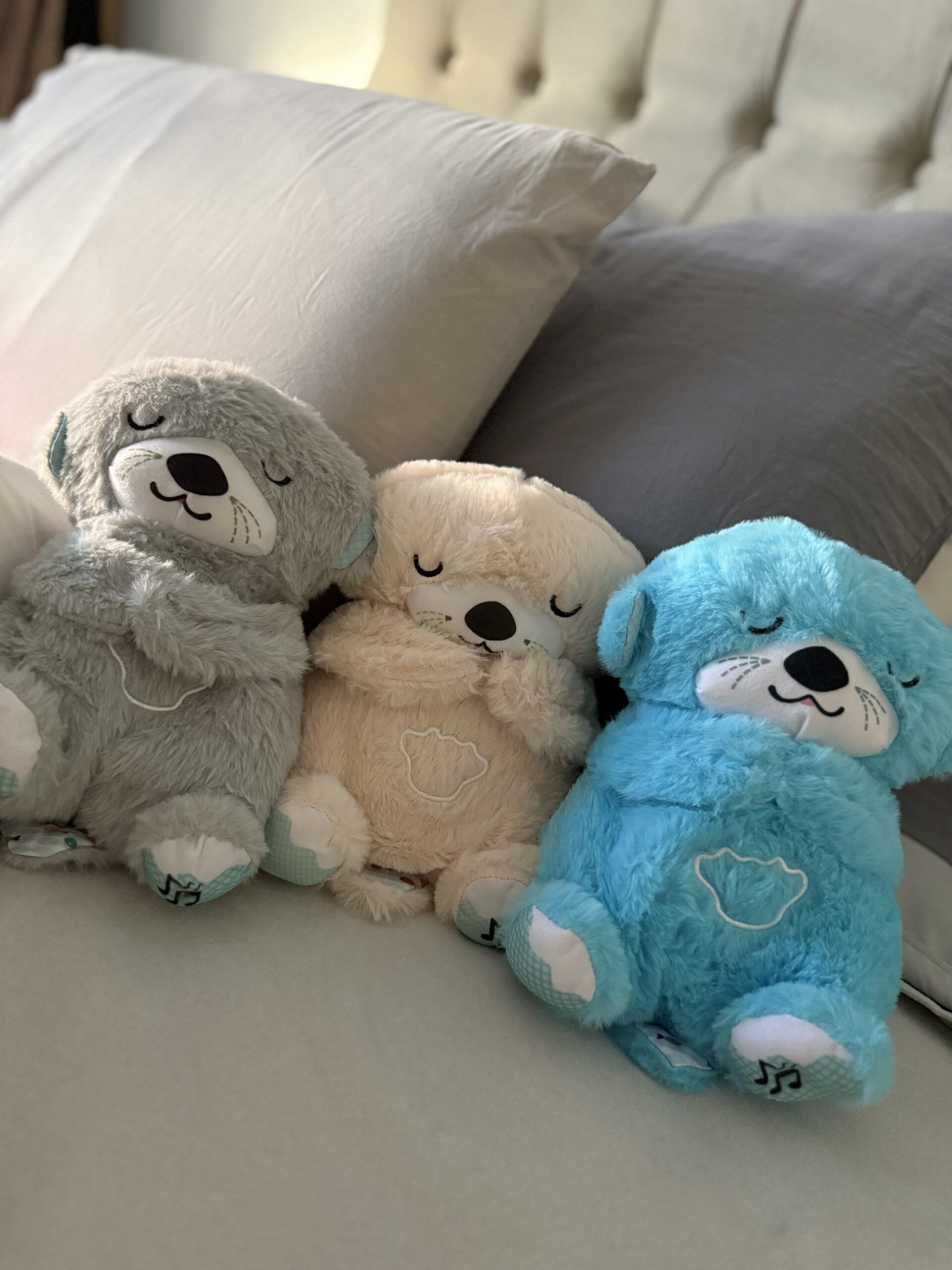 Oso de Apego - Imagen 4