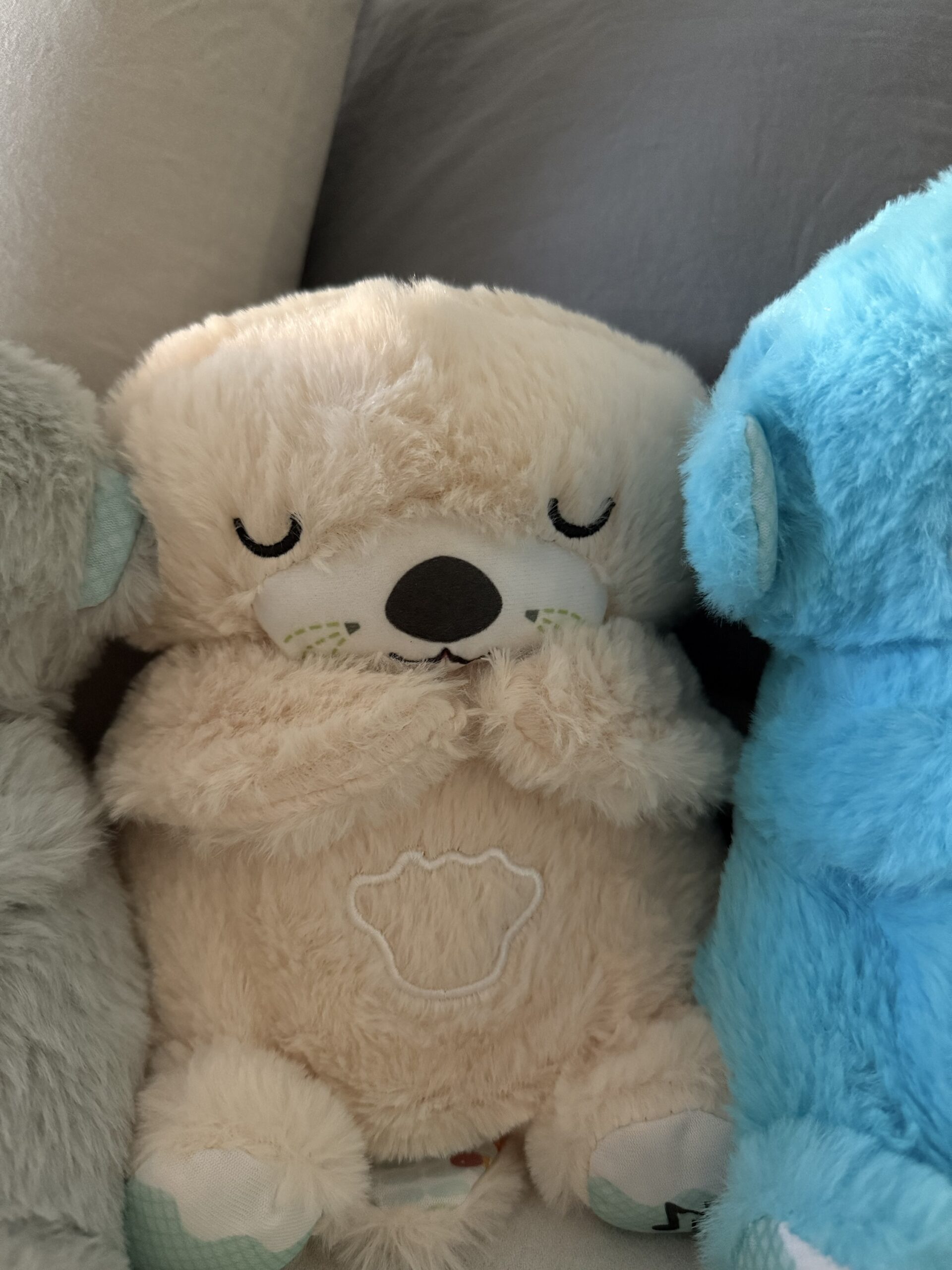 Oso de Apego - Imagen 6