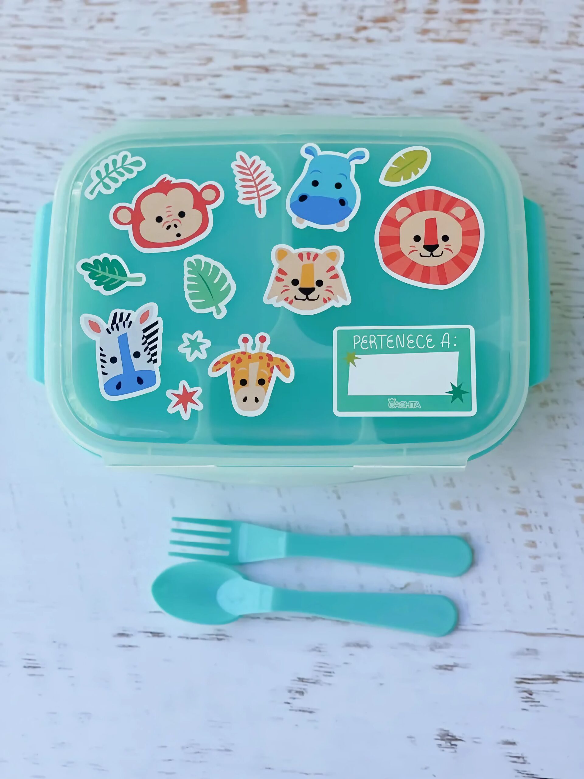 Lunchera con Divisiones - Cachita Green