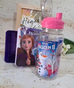 Botella Flip Top  500ml - Frozen