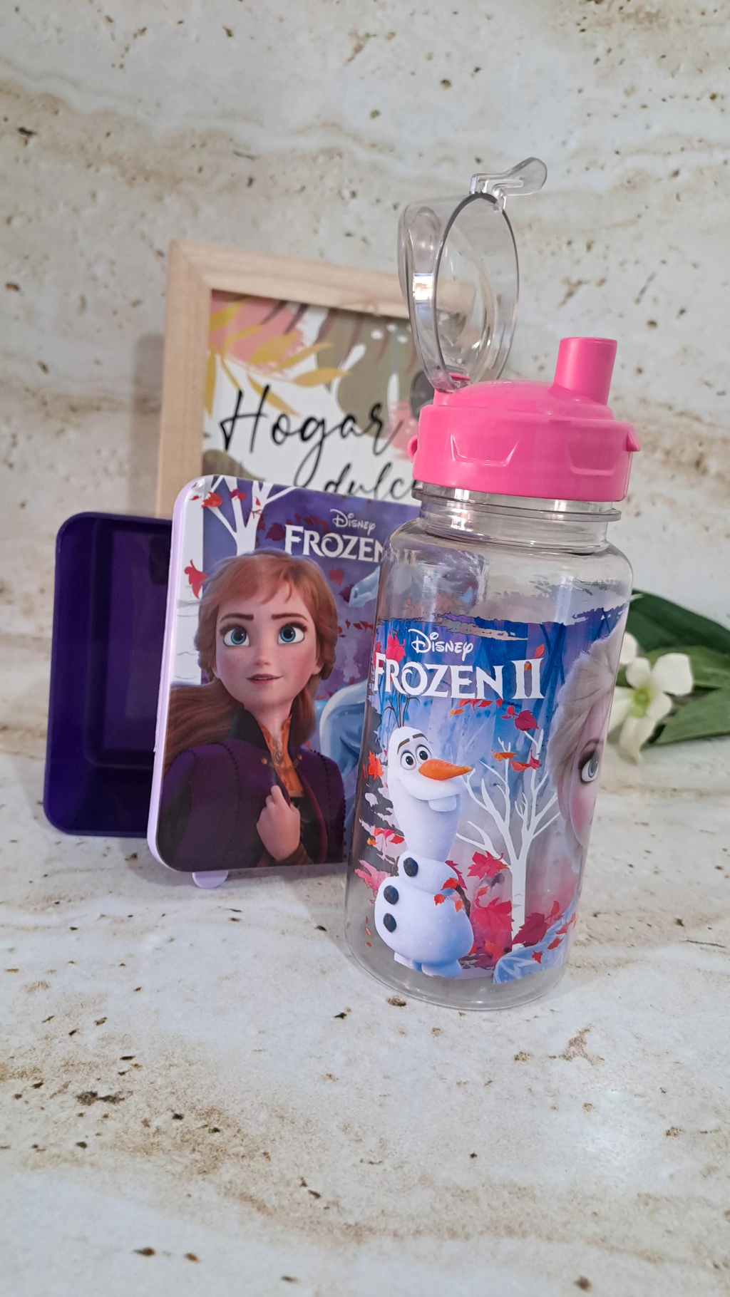 Botella Flip Top 500ml - Frozen