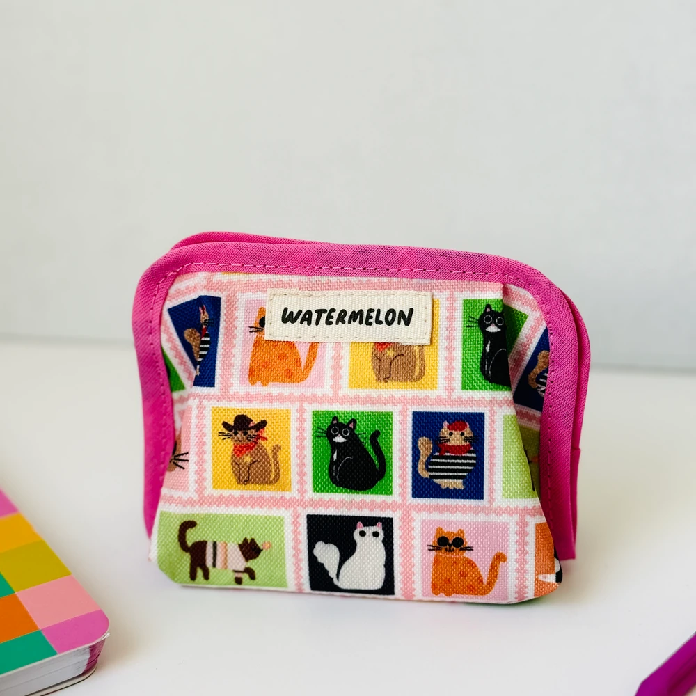 Pastillero Solapa Gatitos